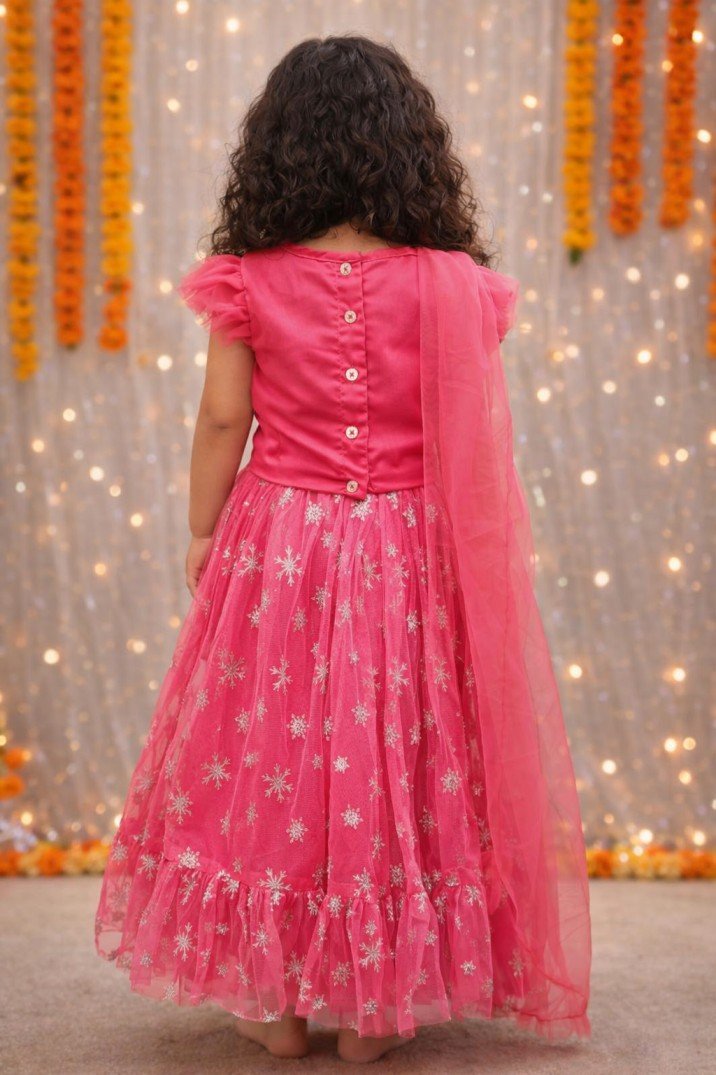 Elegant Pink Net Lehenga Set with Silver Sequin Top view 2